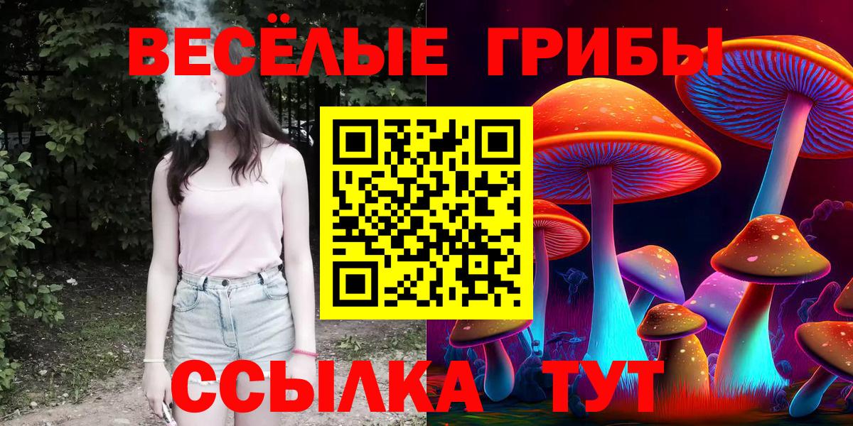 Ипатово  Псилоцибиновые грибы GOLDEN TEACHER  Псилоцибиновые грибы GOLDEN TEACHER  что такое наркотик  Вход с VPN 