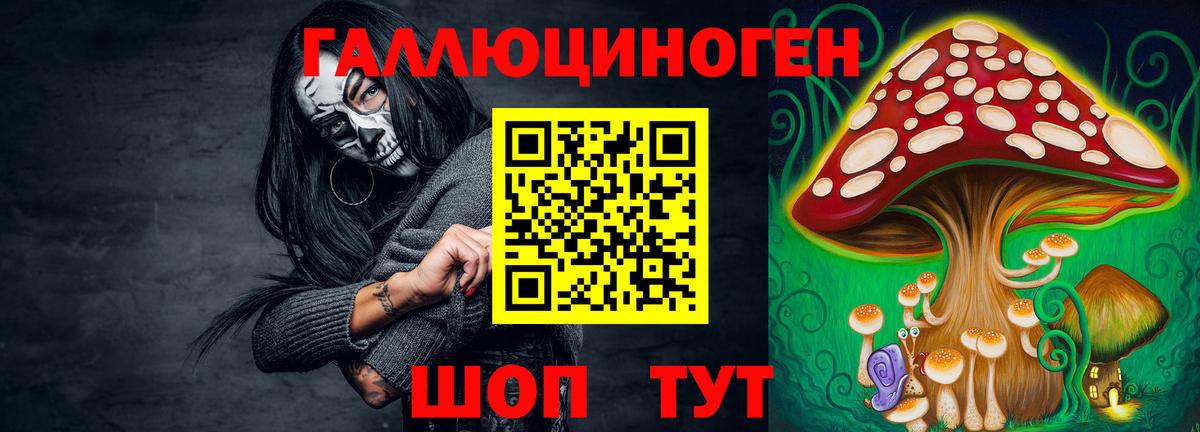 Псилоцибиновые грибы Cubensis Ипатово